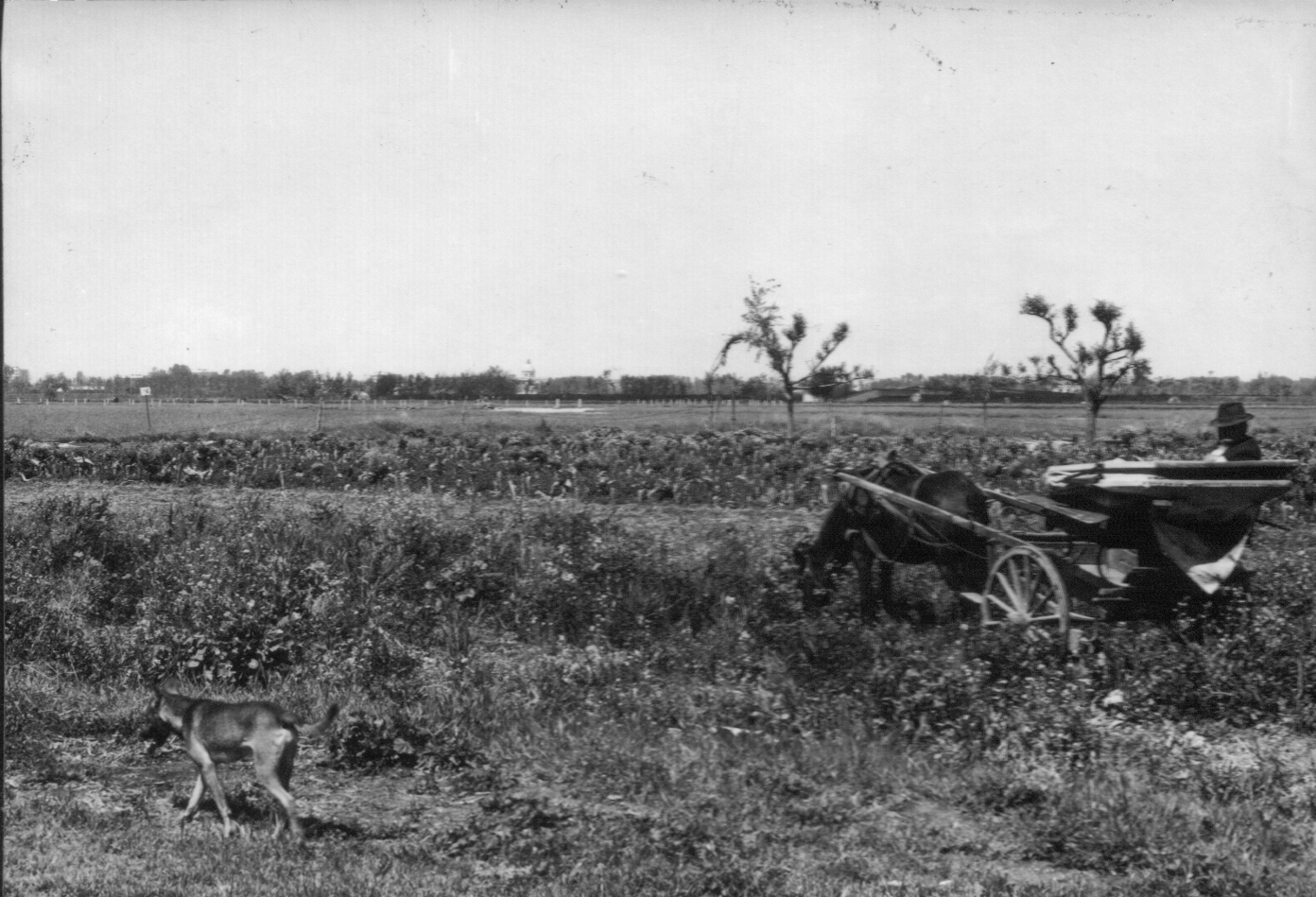 Il territorio di Pomigliano d'Arco negli anni '60