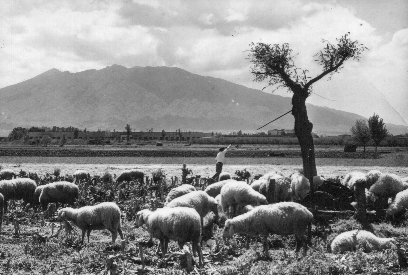 Il territorio di Pomigliano d'Arco negli anni '60