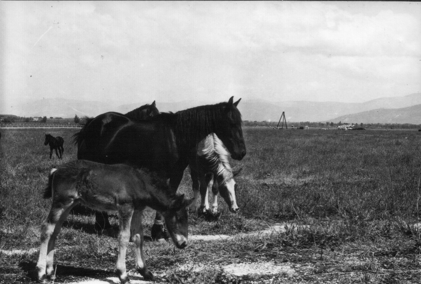 Il territorio di Pomigliano d'Arco negli anni '60