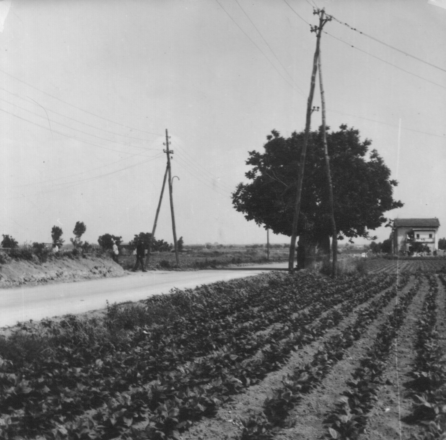 Il territorio di Pomigliano d'Arco negli anni '60